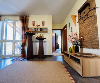 19-alpfaro1001-19png