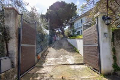 alpmatrang1002-32-piccola