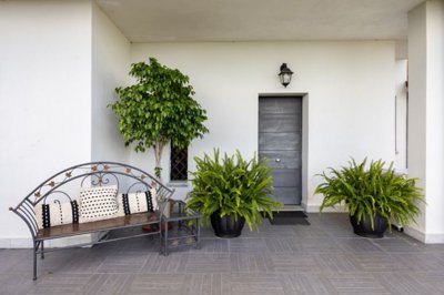 alpmatrang1002-27-piccola