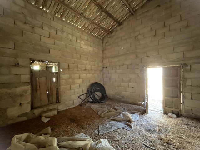 Image No.17-Propriété de 5 chambres à vendre à Modica