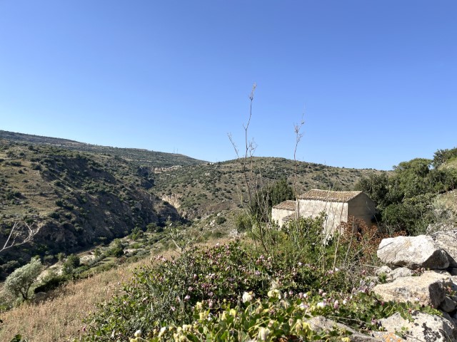 Image No.29-Propriété de 5 chambres à vendre à Modica