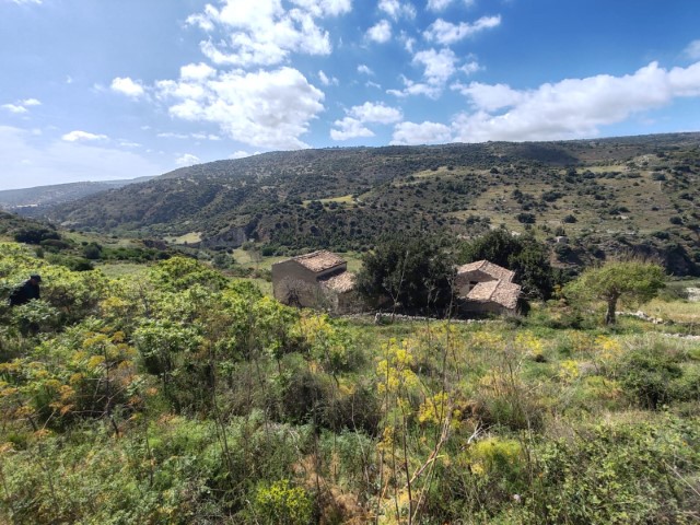 Image No.35-Propriété de 5 chambres à vendre à Modica