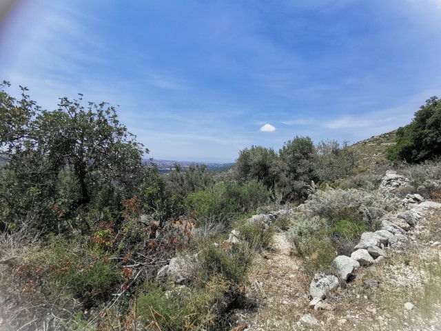 Image No.20-4 Bed Property for sale