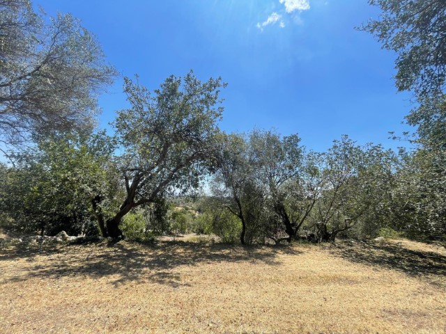 Image No.12-Propriété de 2 chambres à vendre à Modica