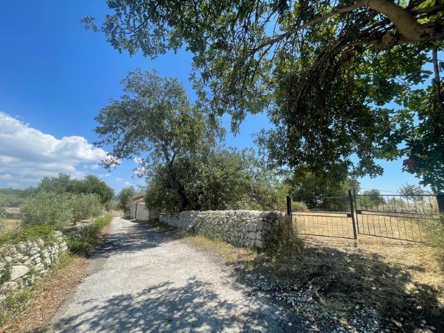 Image No.16-Propriété de 2 chambres à vendre à Modica