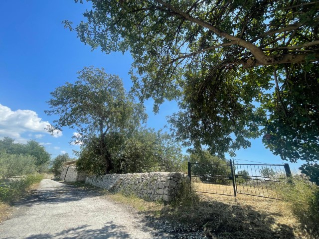 Image No.17-Propriété de 2 chambres à vendre à Modica