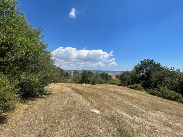 Image No.20-Propriété de 2 chambres à vendre à Modica