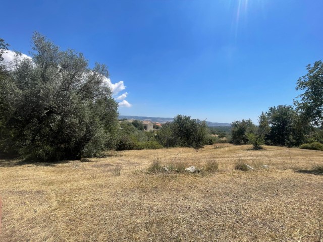 Image No.21-Propriété de 2 chambres à vendre à Modica