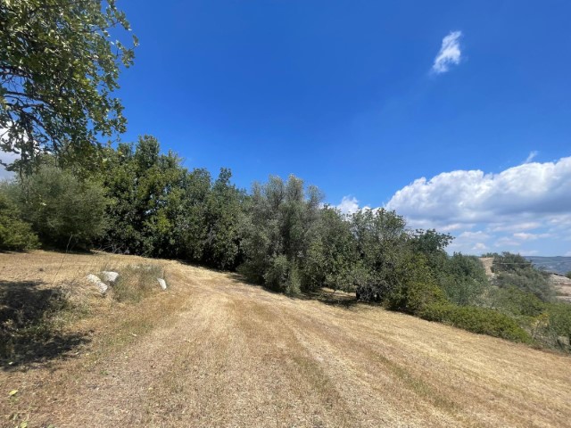 Image No.22-Propriété de 2 chambres à vendre à Modica