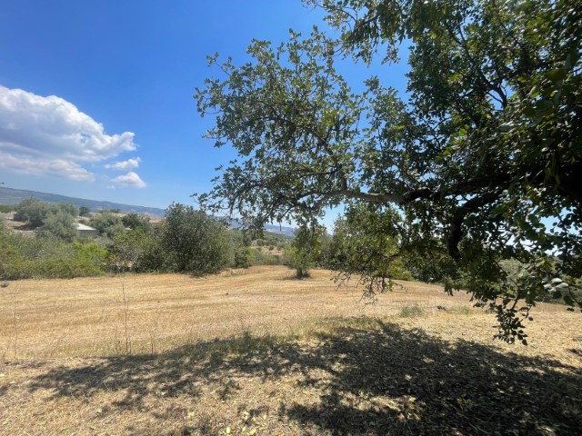 Image No.24-Propriété de 2 chambres à vendre à Modica