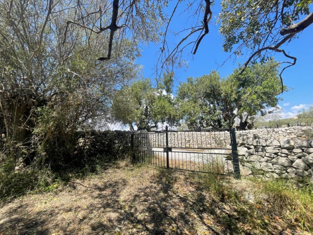 Image No.6-Propriété de 2 chambres à vendre à Modica