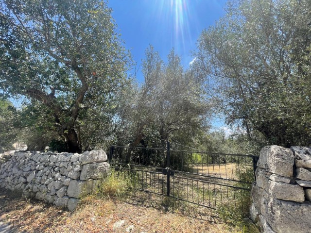 Image No.8-Propriété de 2 chambres à vendre à Modica