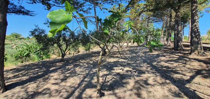 Image No.19-3 Bed Villa for sale