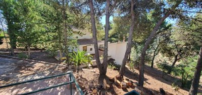 dietro-svito-110k-14