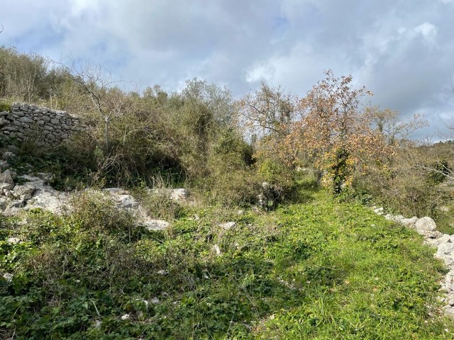 Image No.16-Propriété de 3 chambres à vendre à Modica