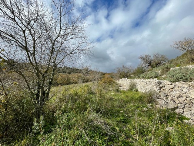 Image No.18-Propriété de 3 chambres à vendre à Modica