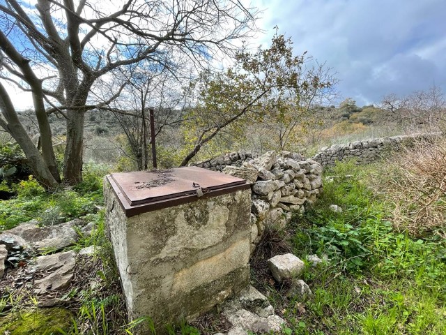 Image No.2-Propriété de 3 chambres à vendre à Modica