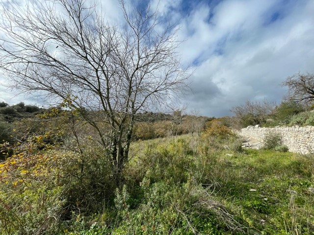 Image No.20-Propriété de 3 chambres à vendre à Modica