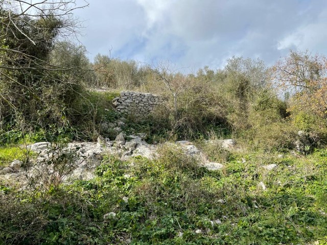 Image No.22-Propriété de 3 chambres à vendre à Modica