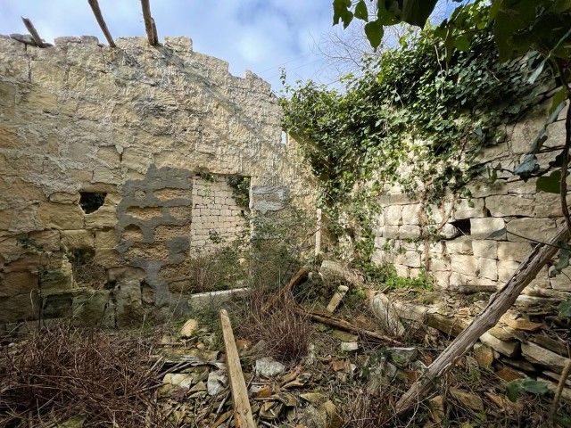 Image No.24-Propriété de 3 chambres à vendre à Modica