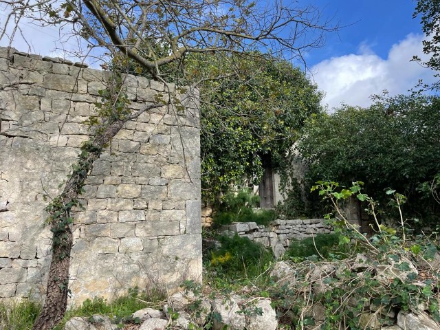 Image No.3-Propriété de 3 chambres à vendre à Modica