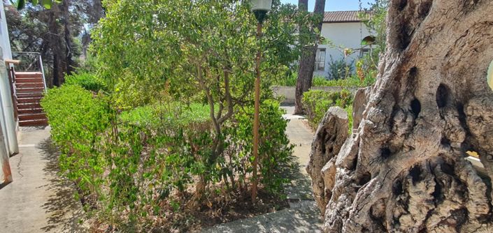 Image No.27-3 Bed Property for sale