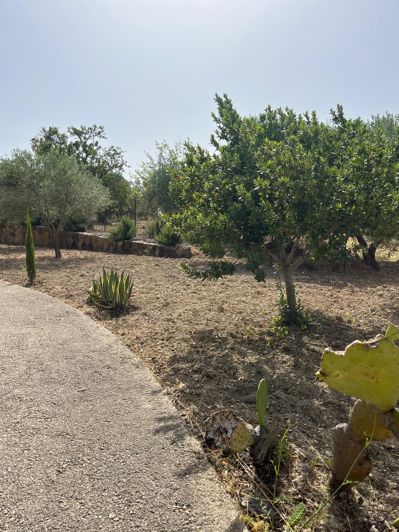 Image No.32-Villa de 4 chambres à vendre à Santa Elisabetta