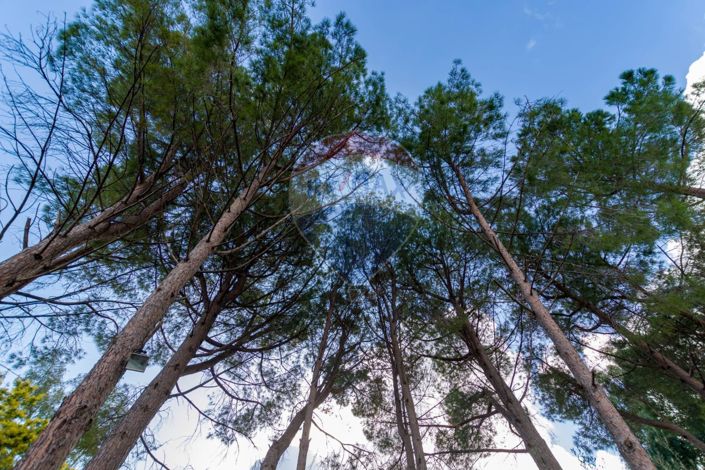 Image No.40-3 Bed Villa for sale