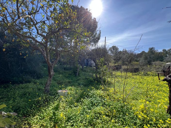 Image No.26-3 Bed Villa for sale