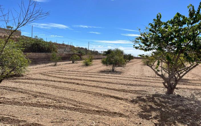 Image No.41-3 Bed Finca for sale