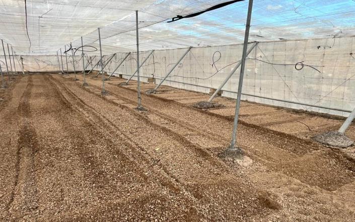 Image No.45-3 Bed Finca for sale