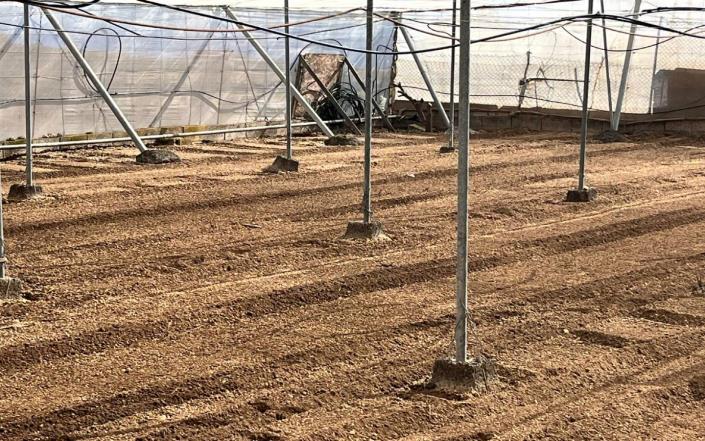 Image No.47-3 Bed Finca for sale