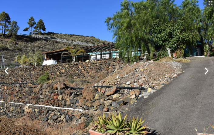 Image No.3-Finca de 6 chambres à vendre à Acojeja