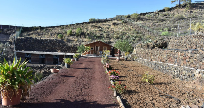 Image No.14-Finca de 6 chambres à vendre à Acojeja