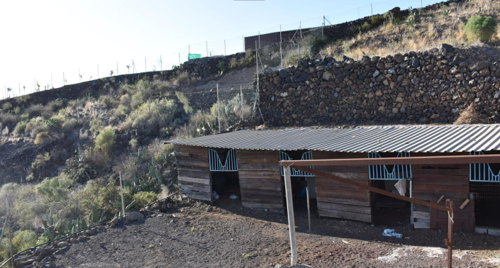 Image No.15-Finca de 6 chambres à vendre à Acojeja