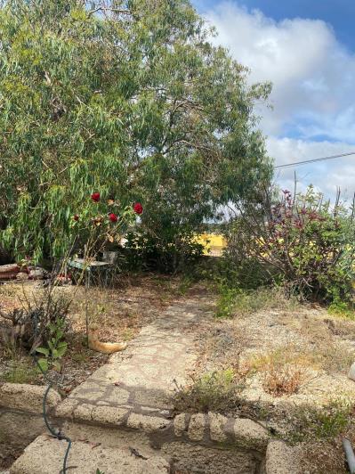 Image No.16-Maison de campagne de 4 chambres à vendre à Granadilla de Abona