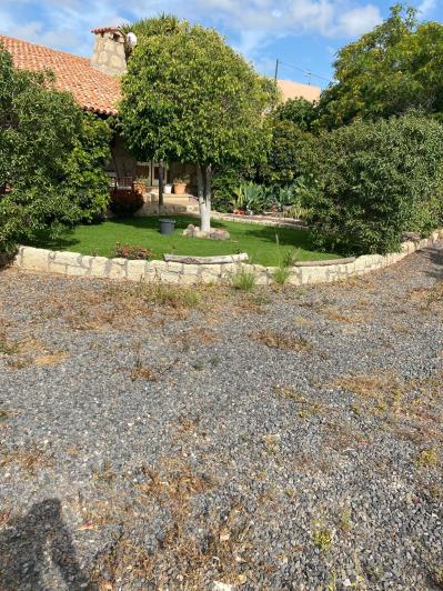 Image No.19-Maison de campagne de 4 chambres à vendre à Granadilla de Abona