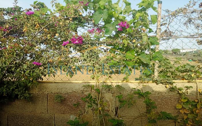 Image No.30-Finca de 3 chambres à vendre à Atogo