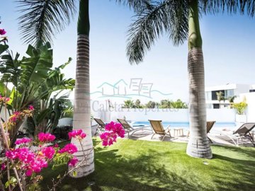 id80328001-0000-0500-0000-000013829951