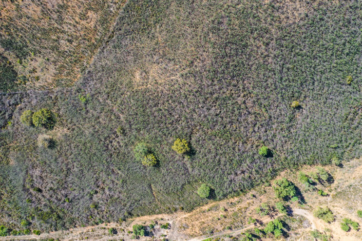 Image No.5-Plot for sale