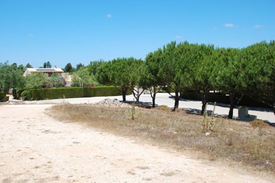 L107 NE aspect across plot.JPG