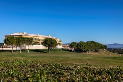 256A4001 (Medium).jpg