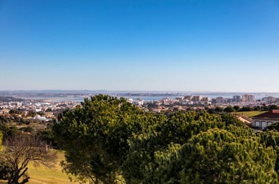 256A3974 (Medium).jpg