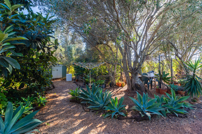 Image No.25-Plot for sale