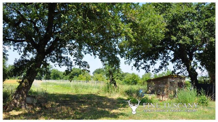 Image No.2-Maison de campagne de 4 chambres à vendre à Chiusdino