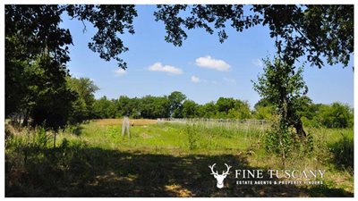 House-for-sale-in-Chiusdino-Siena-Tuscany-3