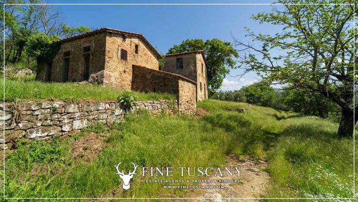 Image No.18-Maison de campagne de 6 chambres à vendre à Figline Valdarno