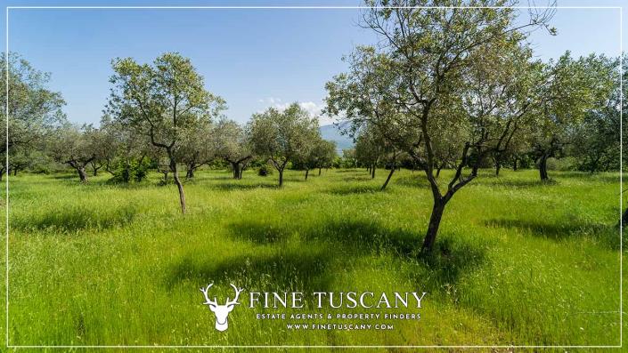 Image No.26-Maison de campagne de 6 chambres à vendre à Figline Valdarno