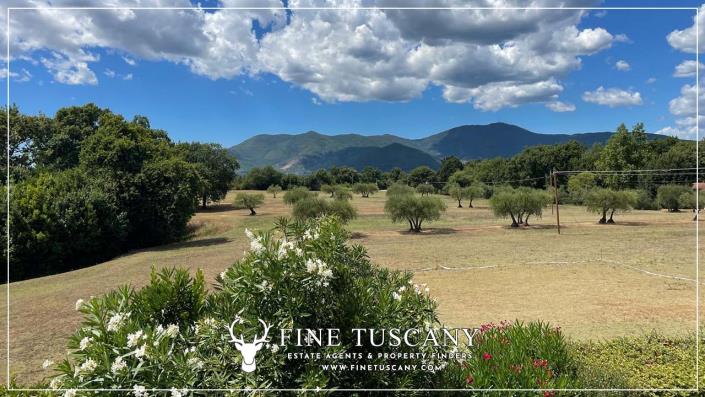 Image No.40-Jumelé de 3 chambres à vendre à Pise