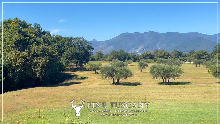 Image No.30-Jumelé de 3 chambres à vendre à Pise